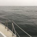 This was what my morning looked like. It was actually very pleasant. I had my foul weather gear on and was warm and dry with a cup of coffee. It was quiet - other than the sound of the engine. The horizon was close on all sides. I loved the solitude of it.