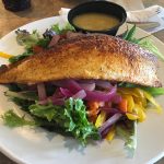 We ate lunch at the cafe at the Ford Museum. Look at this trout salad. It was delicious.