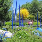 The glass is also in the garden.