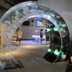 We had a short visit at the aquarium.