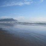 We drove 20 minutes south to go the beach near Gearhart, Oregon.