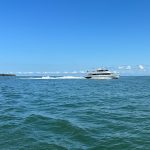 9/19/24 – The next morning, I left Put-In-Bay about 11 and sailed about two hours to get to Kelleys Island. I was passed by the Jet Express after I passed Ballast Island.